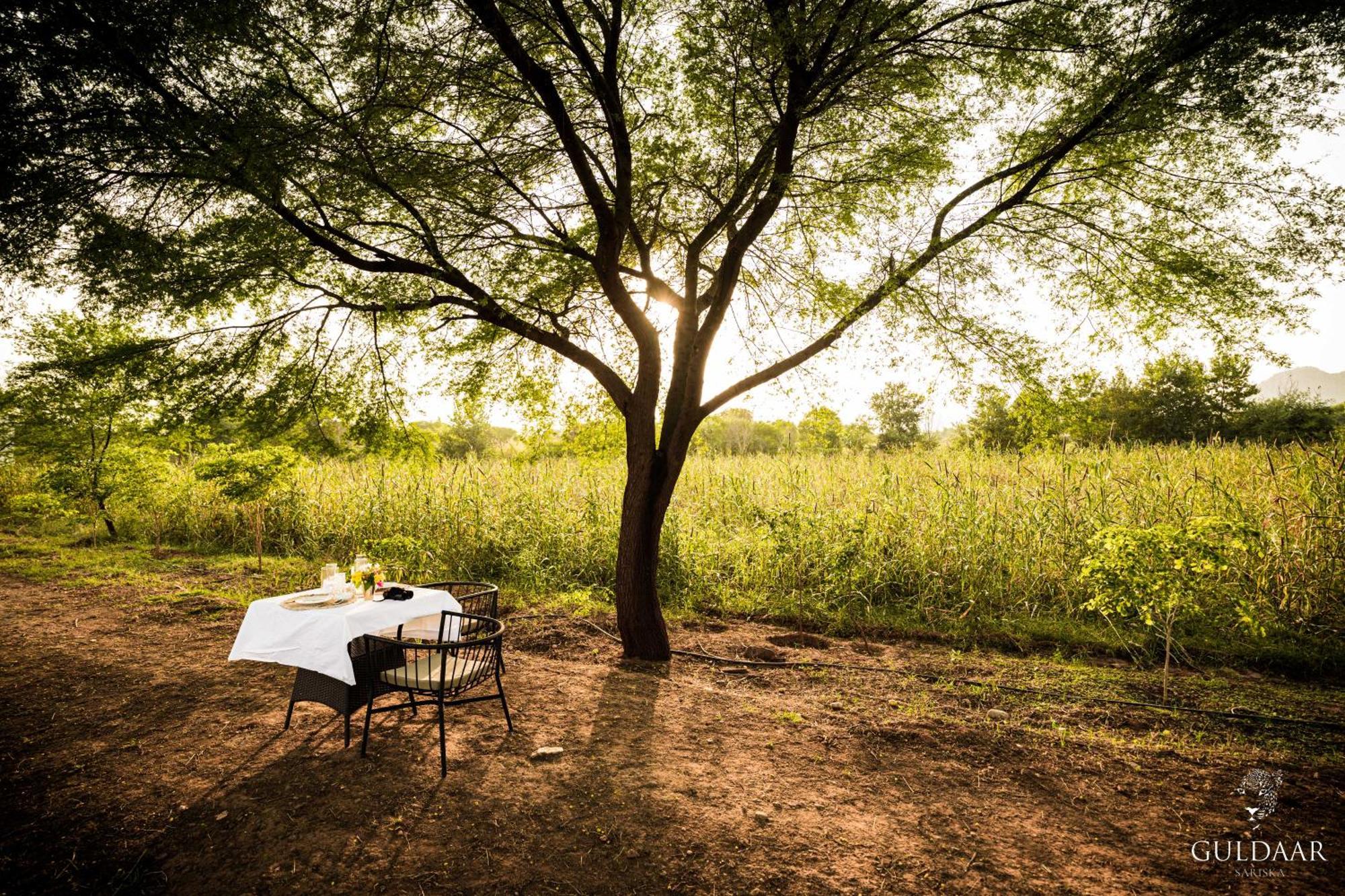 Guldaar Sariska - A Luxury Forest Resort Tehla エクステリア 写真