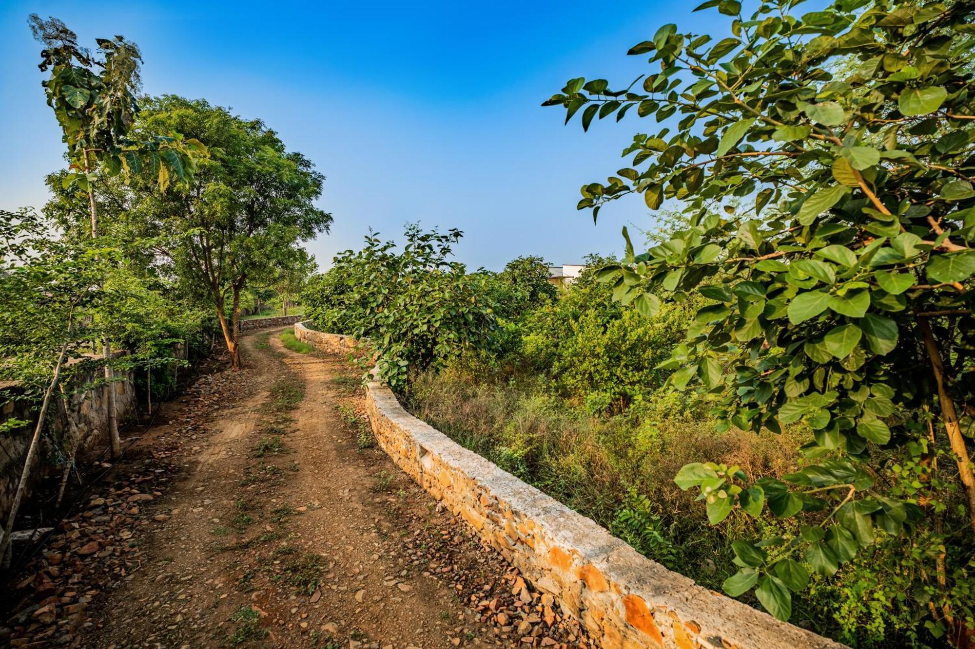 Guldaar Sariska - A Luxury Forest Resort Tehla エクステリア 写真